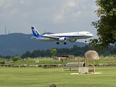【岡山市北区】飛行機が間近でみえる！遊具が充実して大人も小さな子どももみんなが遊べる公園【日応寺自然の森スポーツ広場】
